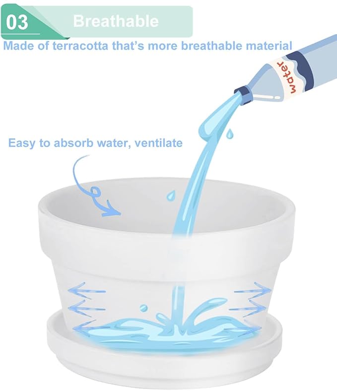 vensovo 3.7 Inch White Terracotta Shallow Succulent Pots - 6 Pack Terra Cotta Clay Pot with Saucer, Cacuts Indoor and Outdoor Planters with Drainage Hole