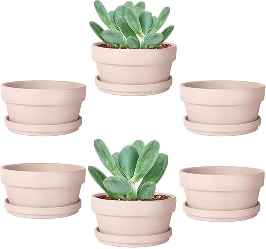 vensovo 3.7 Inch Pink Terracotta Shallow Succulent Pots - 6 Pack Terra Cotta Clay Pot with Saucer, Cacuts Indoor and Outdoor Planters with Drainage Hole