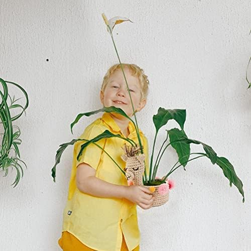 Crochet Llama Planter Holder, Outdoor and Indoor Hanging Planters, Desk and Wall Planter Holders for Home and Office, Plant Hanger Gift Idea for Animal Lovers, Crochet Llama 4-inch Diameter