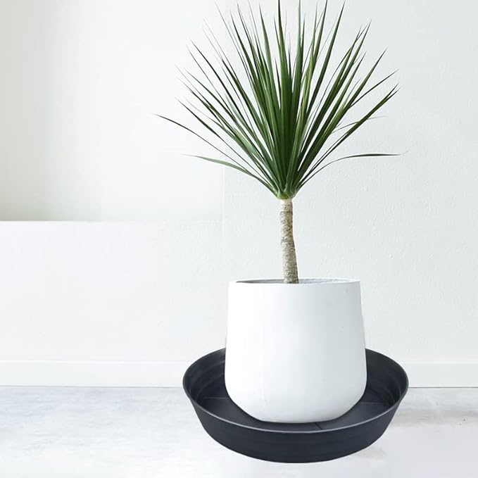 Plant Saucer 18 Inch, Extra Large Planter Saucer 2 Pack, Plastic Plant Saucers for Indoors and Outdoors, Plant Pot Saucers, Drainage Tray for 16, 17, 18 in Planters