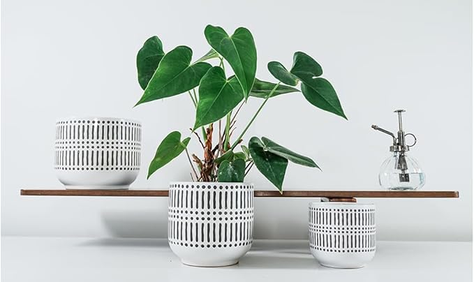 Docrin Plant Pots Ceramic: 6.5+5.3+4 Inch Flower Pots with Drainage Holes for Home/Office - Set of 3/White and Black