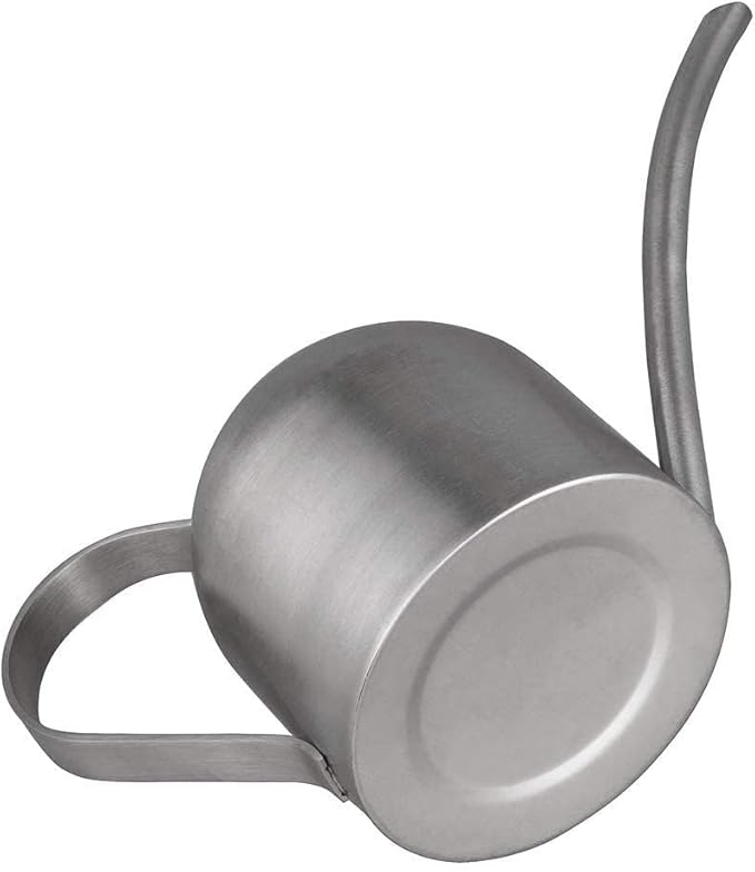 IMEEA Indoor Watering Can for House Plants Stainless Steel Watering Can Metal with Long Spout (33oz/1L)