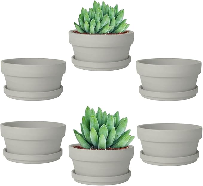 vensovo 4.5 Inch Grey Terracotta Shallow Succulent Pots - 6 Pack Terra Cotta Clay Pot with Saucer, Cacuts Indoor and Outdoor Planters with Drainage Hole