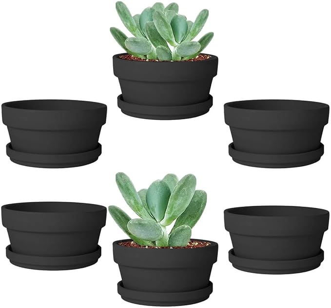 vensovo 3.7 Inch Black Terracotta Shallow Succulent Pots - 6 Pack Terra Cotta Clay Pot with Saucer, Cacuts Indoor and Outdoor Planters with Drainage Hole