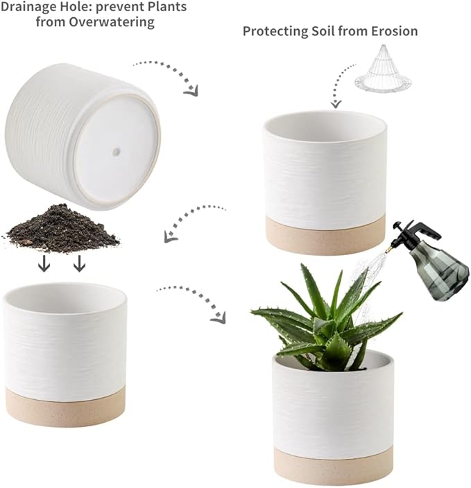 Nihow Ceramic Plant Pot: 6 Inch Planter with Drainage Hole & Saucer for Indoor & Outdoor Plants - Cylinder Round Flower Pot for Succulent/Herbs/Violets - White & Brown