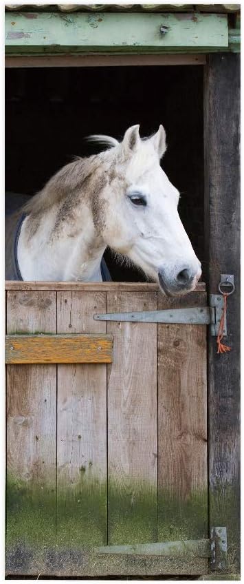 Horse 3D Door Stickers Murals - Peel & Stick - Waterproof & Washable - Matt Finish - Rustic Style - Animal Print - Removable - 37.4" x 84.6"