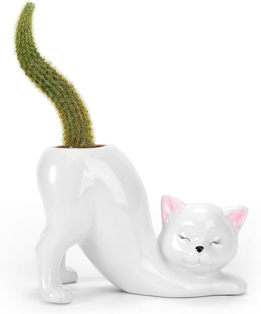 TOIVO Unique Cat Planter Pot，Indoor and Outdoor Plant Displays，Funny Ceramics Cat Flower Pot，Cat Gifts for Cat Lovers，Lovely Office Desk Room Home Decor (White, Small)