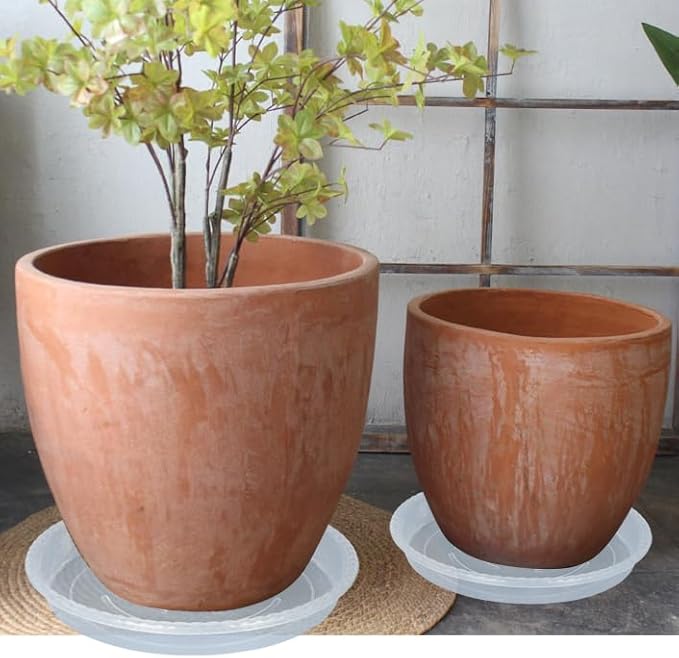 Plant Saucer 6 Pack of 4 6 8 10 12 14 16 inch, Clear Plastic Flower Plant Pot Saucer, Heavy Duty Plant Drip Trays Saucers for Indoor, Plant Water Tray for Planters (6", Clear)