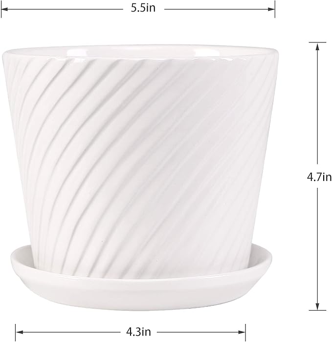 Plant Pots - 5.5 Inch Cylinder Ceramic Planters with Connected Saucer, Pots for Succuelnt and Little Snake Plants, Set of 4, White