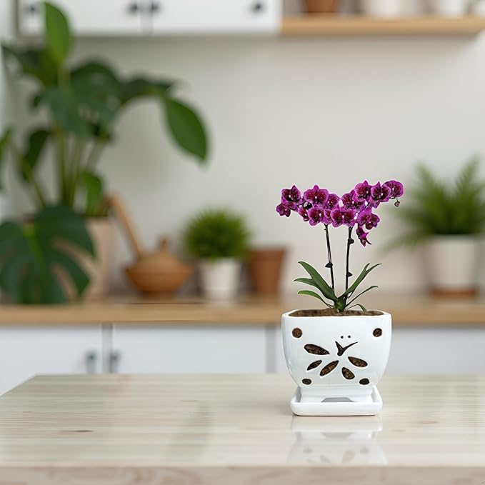 Orchid Pots with Holes Square Ceramic Orchid Planter Pots 5.5 inch (White)