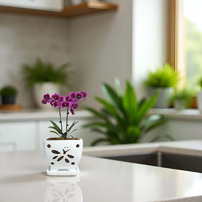 Orchid Pots with Holes Square Ceramic Orchid Planter Pots 5.5 inch (White)