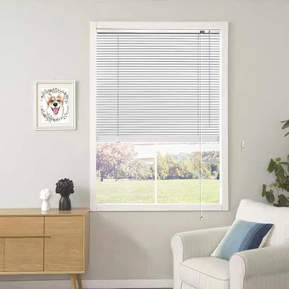 YIIBAII Mini Blinds Suitable for 41" W x 64" H Windows 1" Aluminum Horizontal by YIIBAII