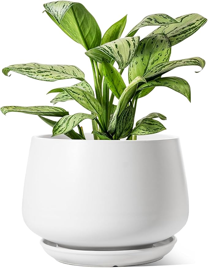 LE TAUCI Ceramic Planters, 12 Inch Pots for Plants, Indoor Plant Pots with Drainage Holes and Saucers, Modern Planters Fit Mid Century Plant Stand, Flower Pots for Indoor Plants, White