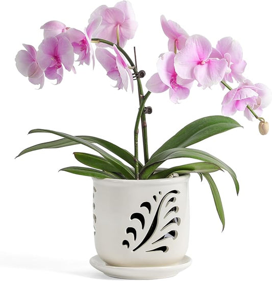 Ceramic Orchid Pot, 6 Inch Orchid Pots with Holes and Saucer for Indoor/Outdoor Plants Drainage & Air Circulation, White Orchid Planter for Repotting or New Plants