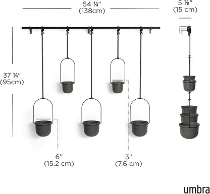 Umbra Triflora Hanging Planter for Window, Indoor Herb Garden - Image 3