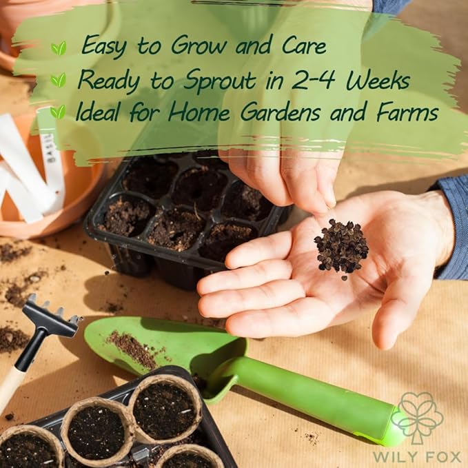 Premium Rare Hollyhock Seeds – 400+ Queeny Dwarf Hollyhock Flower Seeds – Non-GMO, Heirloom Perennial – Showy Blooms for Outdoor Planting (Queeny Hollyhock)