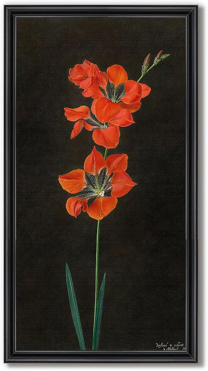 Vintage Framed Red Floral Wall Art - Image 8