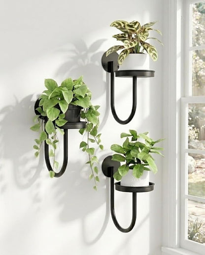 Bamworld Hanging Planters for Indoor Plants Wall Plant Holder Plant Hanger by Bamworld