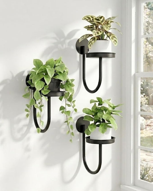 Bamworld Hanging Planters for Indoor Plants Wall Plant Holder Plant Hanger by Bamworld