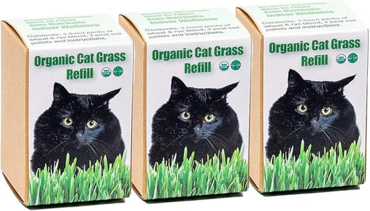 Cat Grass Refill Kit (3)