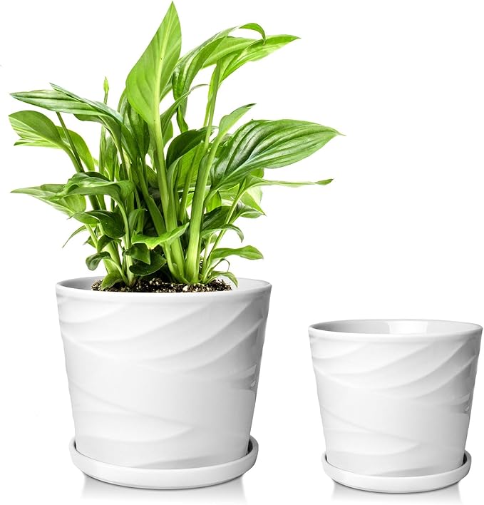 6.7 + 5.5 Inch Plant Pot, Ceramic Planter with Drainage and Saucer，Ceramic Pots for Plants, Indoor Plant pots，Succulent Orchid Flower Pot(Pure White)