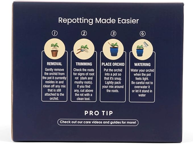 rePotme Orchid Pot - 5 inch Floral Cutout Ceramic Orchid Pot with Holes (Cream Over Cotton Candy) - Includes 5 inch Slotted Pot Liner