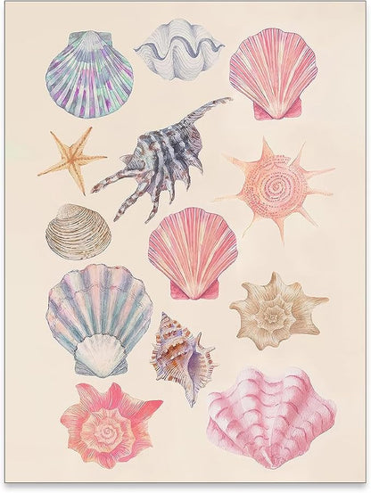 Pink Shell Posters Funky Coastal Cowgirl Wall Art Vintage Beach House by Unknown