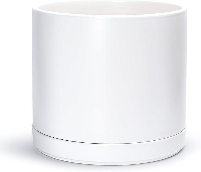 D'vine Dev 14 Inch Ceramic Planter Pot with Drainage Hole and Saucer, Indoor Cylinder Round Planter Pot, White, 94-O-G-1
