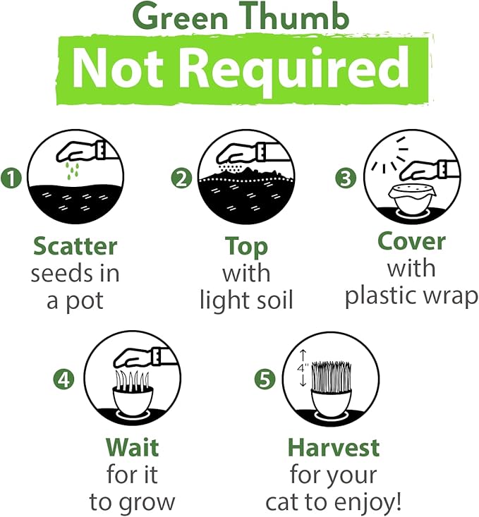 HOME GROWN 3 Cat Grass Seed Mix – Non-GMO Heirloom Oat, Alfalfa & Cat Grass Seeds | Indoor Pet Grass for Cats | High-Germination Greens for Hairball Control, Digestion, and Chewing Enrichment