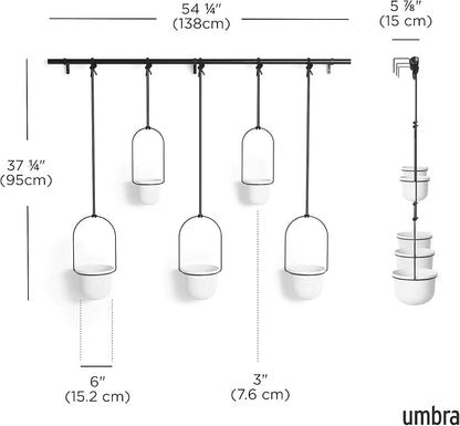Umbra Triflora Hanging Planter for Window, Indoor Herb Garden - Image 3