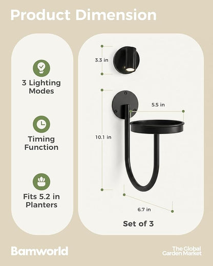 Bamworld Wall Decor Plant Stand - Image 5