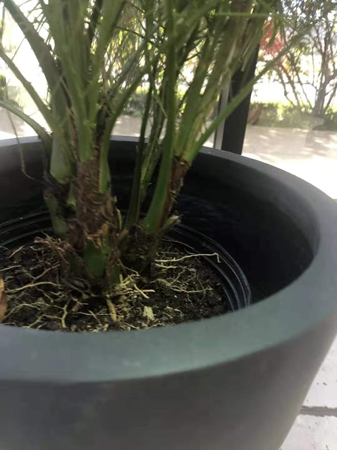 Kante 18",14",10" Dia Concrete Round Planters (Set of 3), Outdoor Indoor Large Planter Pots with Drainage Hole and Rubber Plug for Home Patio Garden, Charcoal