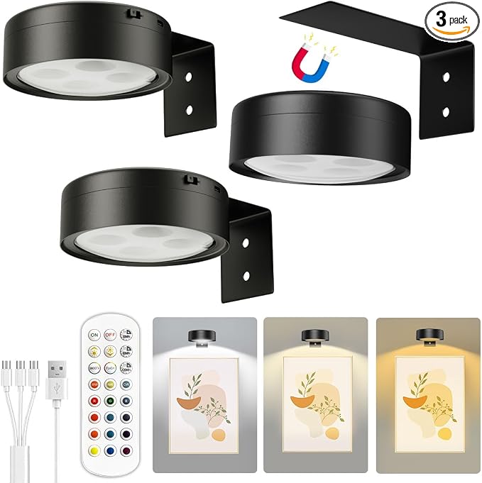 Xuolder Picture Lights for Wall, 2000mAh Rechargeable Battery Poster Lights LED by Xuolder