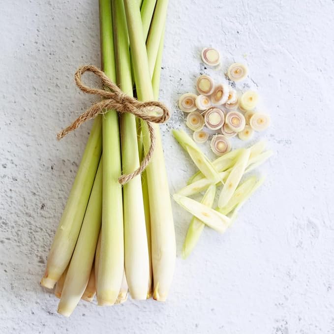 Lemongrass - Cymbopogon citratus. Live Plant. Fragrant, Fresh, Edible. Easy Grow. Indoor/Outdoor. (4 Lemongrass in Sac)
