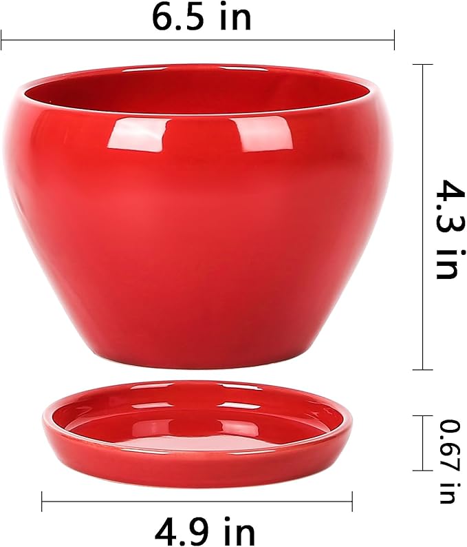 vicrays Ceramic Plant Pots Indoor - 6.5 Inch Planter Pot with Drainage Hole and Saucer for Succulent Orchid Flower Herbs Cactus - Ideal for Gardening Home Desktop Office Decor - Red