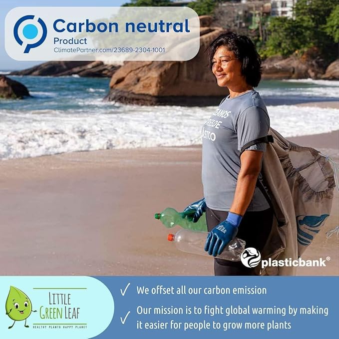 LGL Plant Watering Globes - Automatic Self Watering Globes. Decorative Self Watering Planter Inserts Made From Hand-Blown Durable Glass. Self Watering Spikes to Support Plant Health. 2 Pack, Medium.