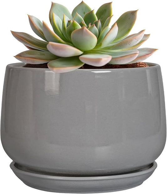G EPGardening Ceramic Pot for Plants - Modern 6 Inch Round Planter Indoor with Drainage and Tray for Indoor Outdoor Flower, Patio Decor, Teacher Gifts, Grey
