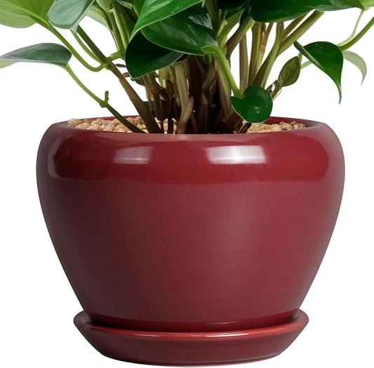 Ceramic Pot for Plants - 6 Inch Plant Pot Indoor with Drainage Hole and Saucer Succulent Pot Outdoor Planter Round Flower Pot for House Patio Decor Red