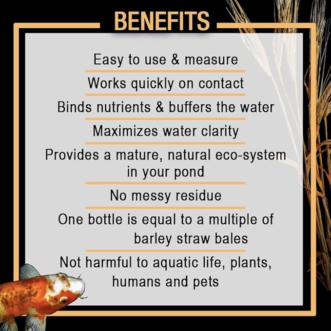 MICROBE-LIFT MLCBSE2L Concentrated Barley Straw Extract Conditioner for Ponds and Outdoor Water Garden, Safe for Live Koi Fish, Plants, and Decorations, 64 Ounces