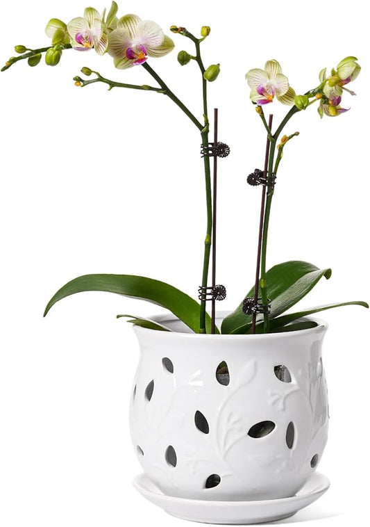 LE TAUCI Ceramic Orchid Pot, 6.5 Inch Orchid Pots with Holes, Orchid Planter for Repotting, Indoor Flower Plant Pot with Drainage and Saucer, White