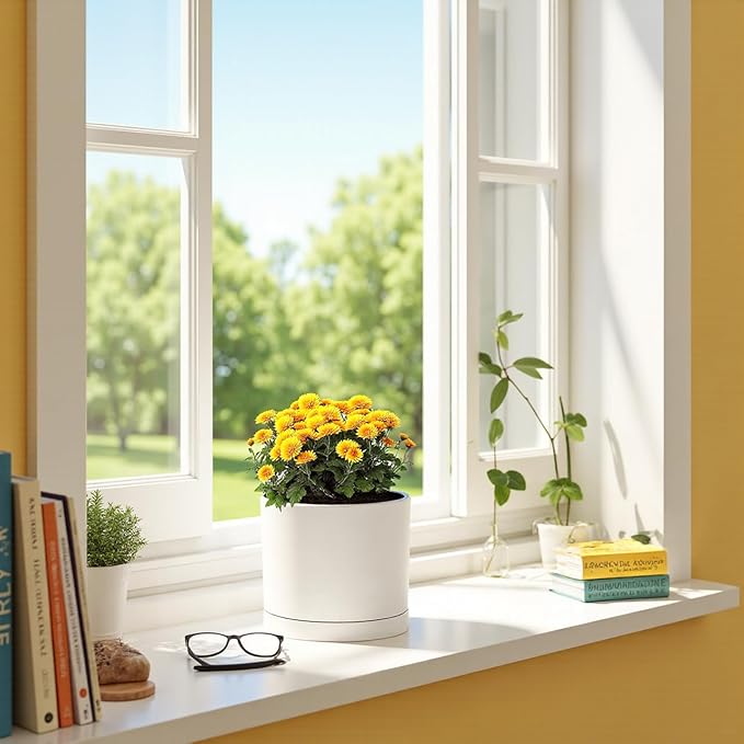 Aveyas 8 inch Ceramic Plant Pot with Drainage Hole and Saucer - Suitable for Indoor and Outdoor Use, Modern Planters for House Garden Flower Tree Snake Monstera Plants (8", Matte White)