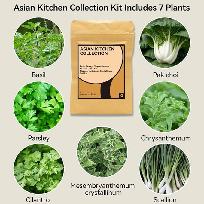 inbloom Gourmet Herb Seed Pod Kit for AeroGarden, iDoo, Ahopegarden with Basil, Parsley, Cilantro, Chrysanthemum, Pak Choi, Crystalline Ice Plant, Onion, Hydroponics Growing System Supply (12-Pod)