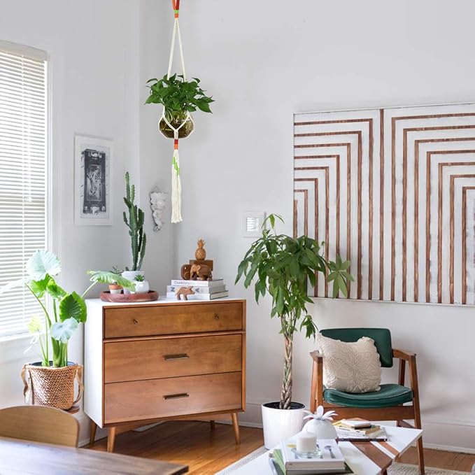 JES&MEDIS 5 Pack Color Handmade Cotton Rope Macrame Plant Hanger Indoor Outdoor Flower Pots Or Basket Hanging Planter Holder for Decorations with 5 PCS Hooks