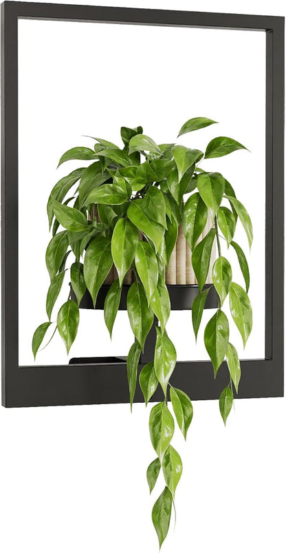 Bamworld Plant Stand Indoor Wall Decor Metal Plant Hanger Indoor Hanging Plant by Bamworld