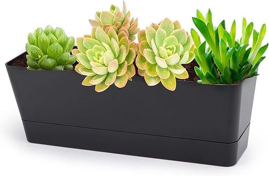 GREANER 12x3.8 Inch Herb Planters, 1 Pack Rectangle Window Boxes with Tray, Indoor Succulent Cactus Mint Plastic Pot for Windowsill, Balcony, Office, Outdoor Garden - Black