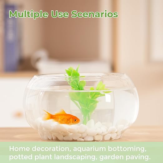 SIDONG 5 LB White River Rocks, 0.3-0.5 Inches Matte Pebbles for Indoor Plants, Aquarium Rocks Used in Fish Tank, Decorative Stones for Plants, Vases, Home Décor, Crafting, Garden Landscaping