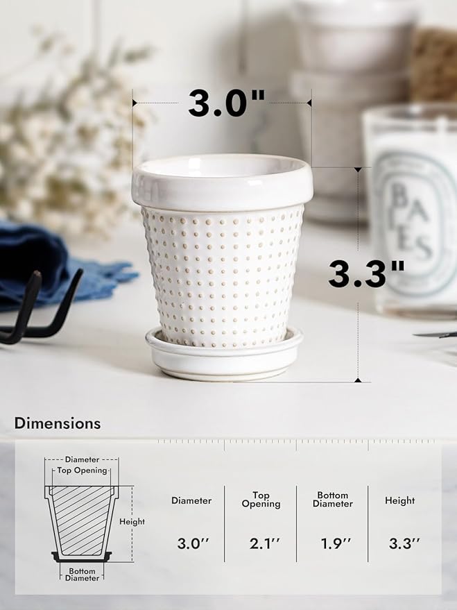 LE TAUCI Ceramic Succulent Pots, 3 Inch Mini Flower Pots for Indoor Plant Cactus, Embossed Small Plant Pot with Drainage Hole & Saucer, Home Decor - Set of 4, Arctic White