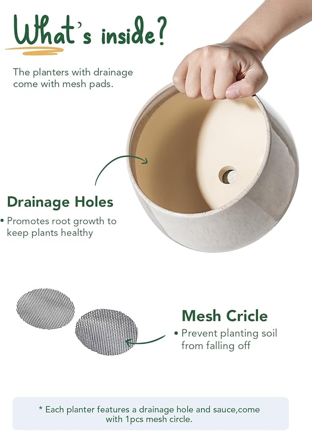 LE TAUCI Plant Pots, 4.1+5.1+6.5 inch, Set of 3, Ceramic Planters with Drainage Hole and Saucer, Indoor Flower Pot with Hole Mesh Pad, Gifts for Mom, Reactive Glaze Beige