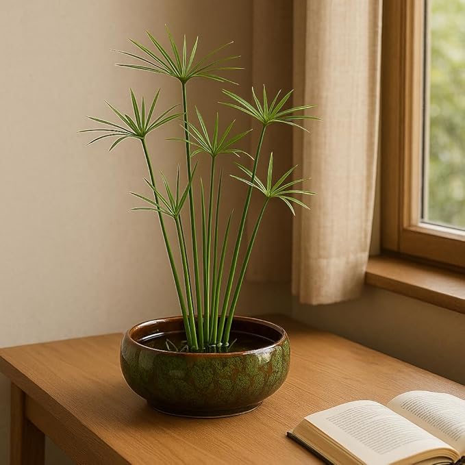 Lotus Bowl Planter, Lotus Bowls for Planting in Water Indoors,6.5-inch Round Succulent Flower Pot with Rotating Bracket, Leak-Proof Design, Suitable for hydroponic Plants, Succulents (Green)