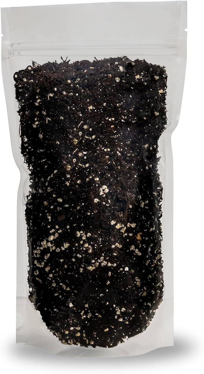 Fern + Perlite Soil Mix for Repotting and Planting Succulents and Cactuses - 1 Quart Bag